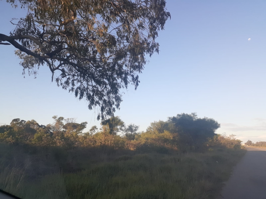 0 Bedroom Property for Sale in Greenbushes Eastern Cape